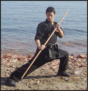 clint cora martial arts bo staff background karate